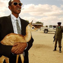 Somálsko – to je všetko, na čo sa zmôžete?