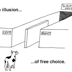 Pravica a ľavica, modrá a červená, oddanosť a strach